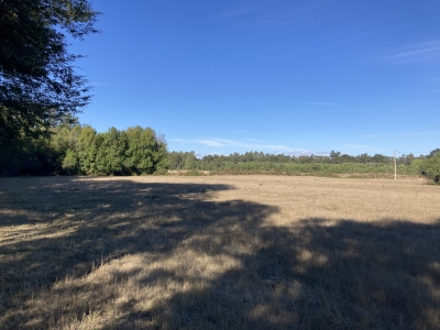 CentroCasas.cl Venta de Parcela en Mariquina, Linguento