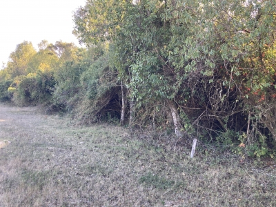 CentroCasas.cl Venta de Parcela en Mariquina, Linguento