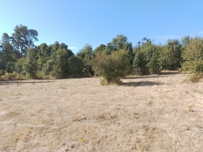 Venta-de-Parcela-en-Valdivia-QUESQUECHAN