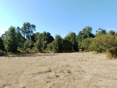 Venta-de-Parcela-en-Valdivia-QUESQUECHAN