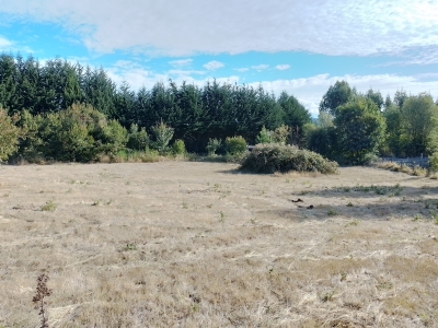 Venta-de-Parcela-en-Valdivia-QUESQUECHAN
