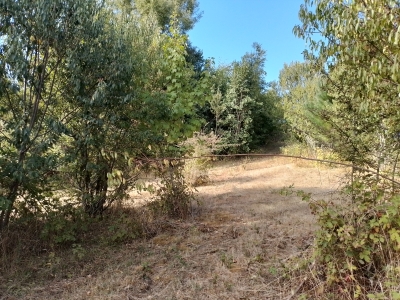 Venta-de-Parcela-en-Valdivia-QUESQUECHAN