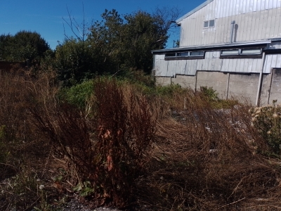 CentroCasas.cl Venta de Sitio en Valdivia, Regional