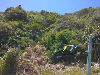 Venta-de-Terreno-en-Valdivia-Costero