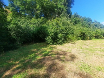 Venta-de-Parcela-en-Valdivia-QUITACALZON