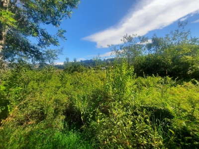 Venta-de-Parcela-en-Valdivia-QUITACALZON