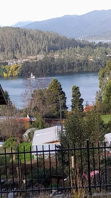 Venta-de-Casa-en-Valdivia-Pino-Huacho
