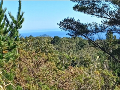 Venta-de-Parcela-en-Valdivia-COSTA-SAN-IGNACIO-ALTO