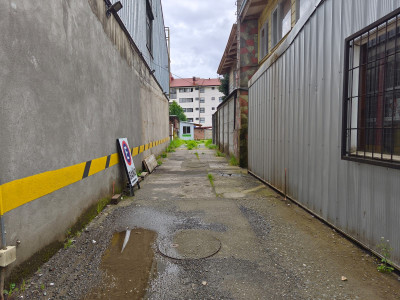 Sitio en Valdivia — foto 2