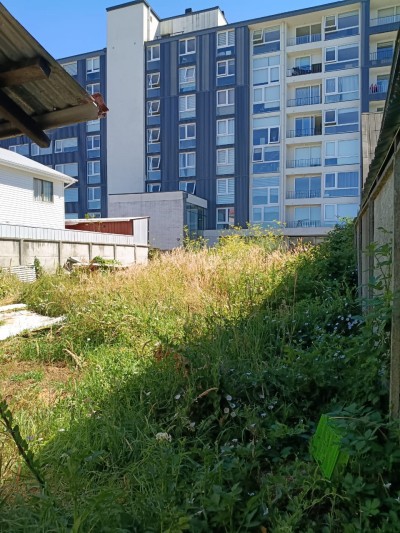 Terreno en Valdivia — foto 2